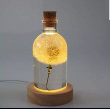 Load image into Gallery viewer, Light up bottle mold set

